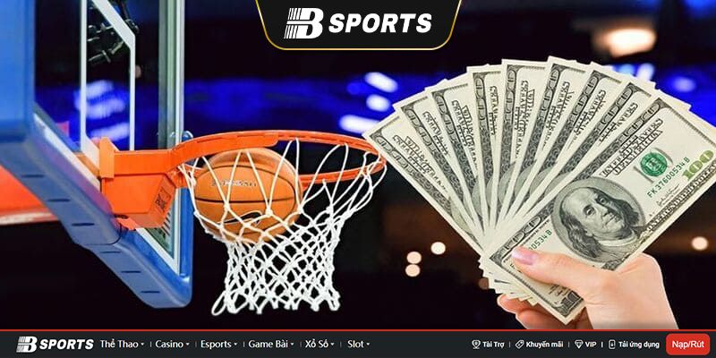 Ứng dụng cá cược bóng rổ Bsports – Sân chơi hàng đầu năm 2023